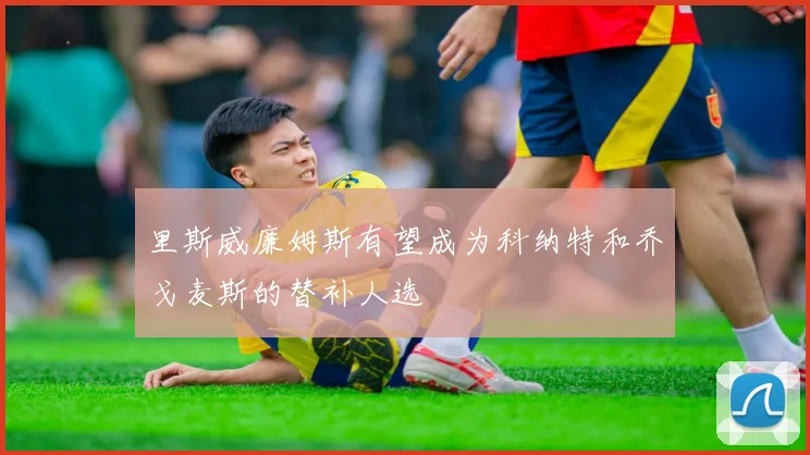 里斯威廉姆斯有望成为科纳特和乔戈麦斯的替补人选