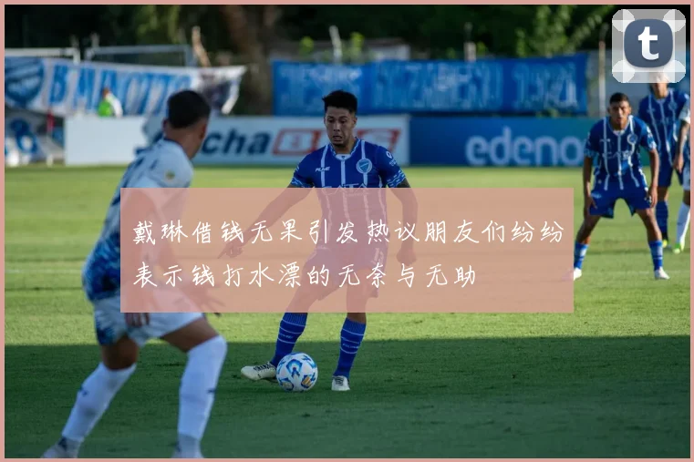 戴琳借钱无果引发热议朋友们纷纷表示钱打水漂的无奈与无助