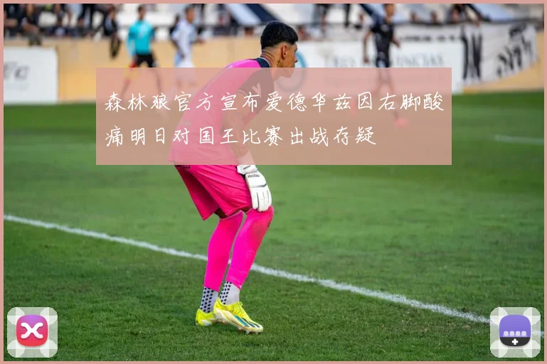 森林狼官方宣布爱德华兹因右脚酸痛明日对国王比赛出战存疑