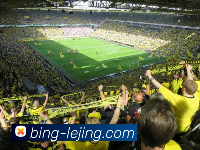 多媒体互动体验